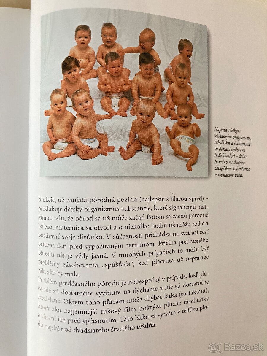 Zazracna cesta do zivota - 8