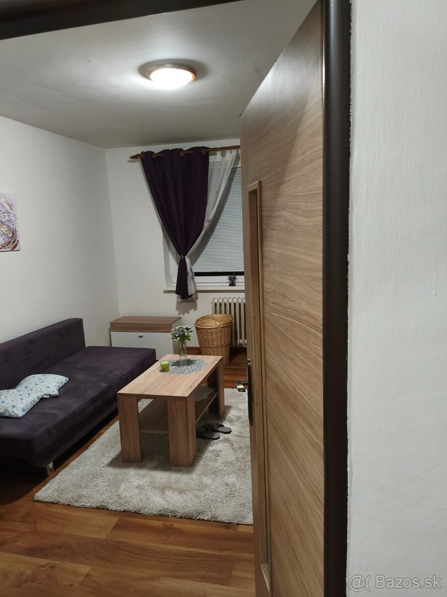 Prenájom jednoizbového bytu - 8