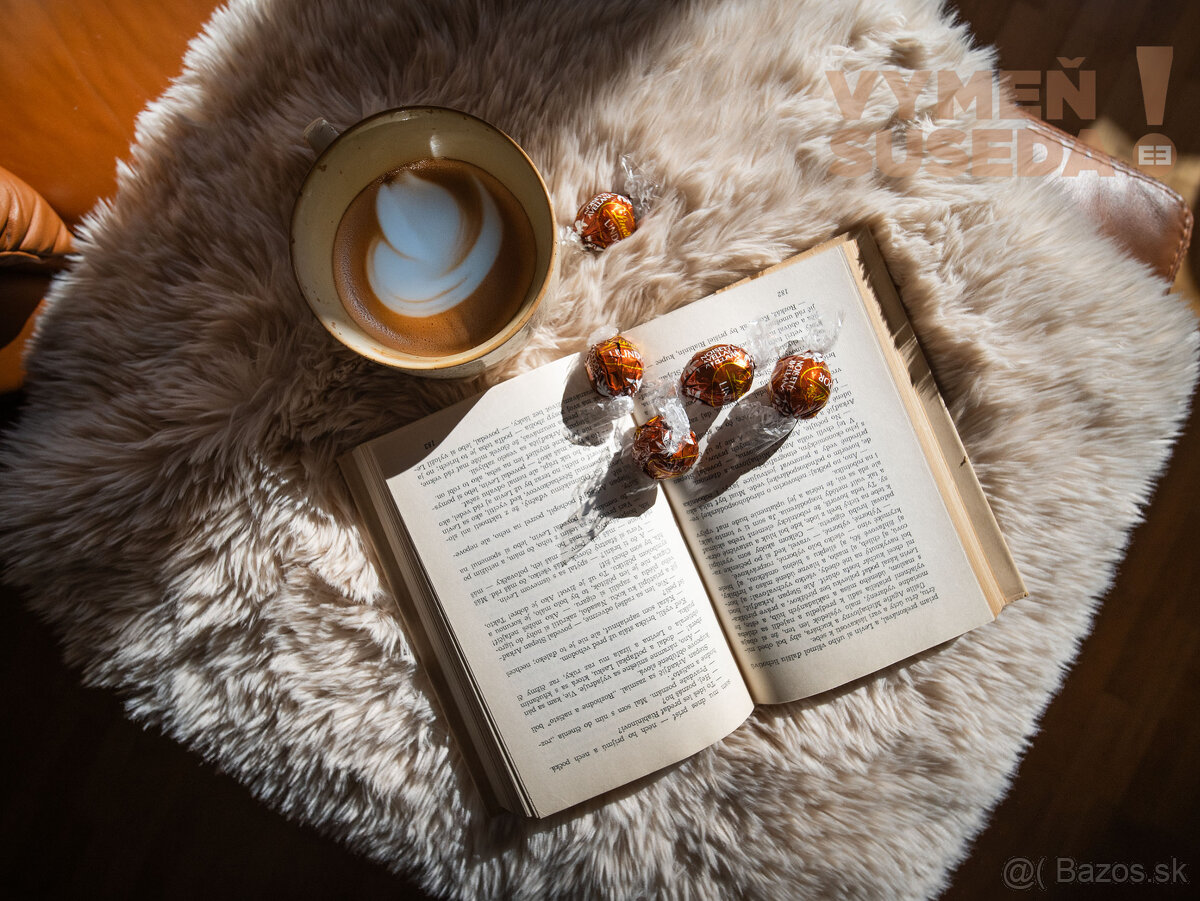 VYMEŇ SUSEDA - VÝNIMOČNÝ 3 IZB. BYT S DVOMI LOGGIAMI, VYHĽA - 8