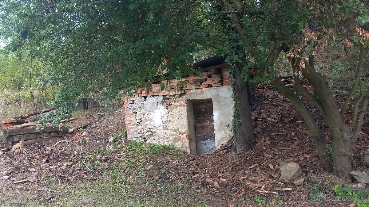 pozemek se sklepem u dukovan - 8