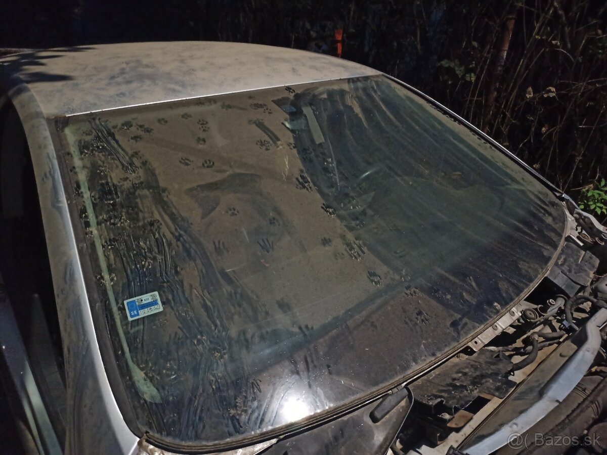 Passat b6 sedan 103kw bkp M6 - 8