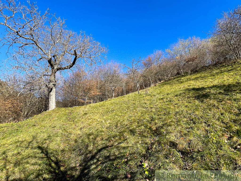 Pôvodný banícky dom s rozľahlým pozemkom – Banská Hodruša - 8