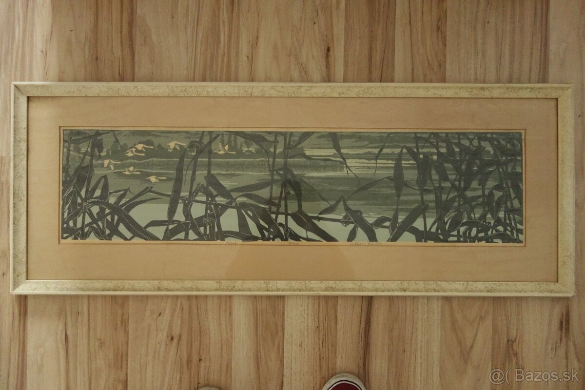 Obraz - Botanský - návrat - 8