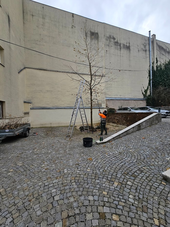 vertikutacia, rotavatorovanie, rylovanie, strihanie - 8