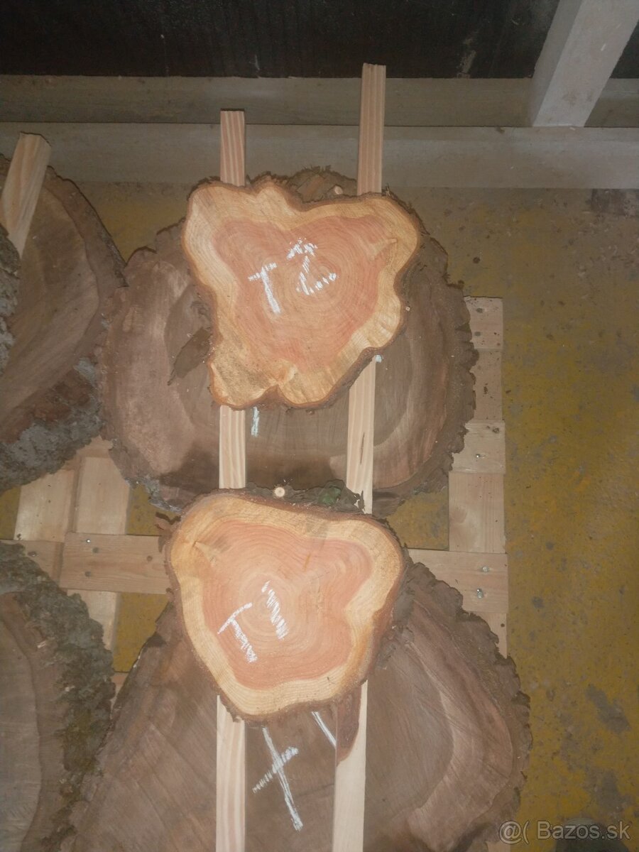 Predám orechové koláče - priečne rezy - 8