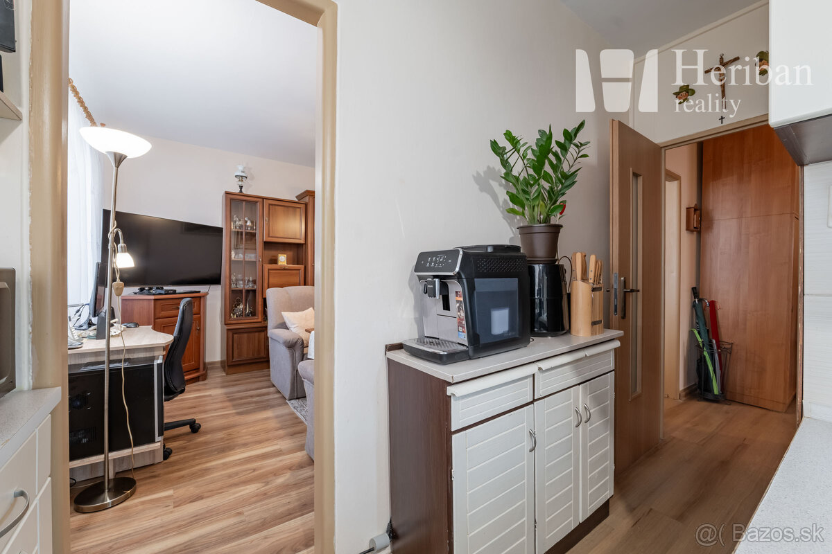 3 izb.byt, 66m2, Muškátova ul, Západ-Terasa - 8