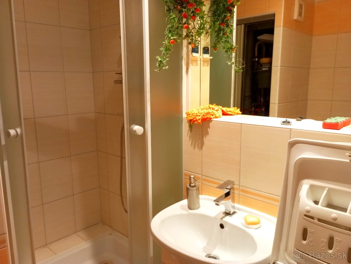 Prenajmem 1-izbový byt. - 8