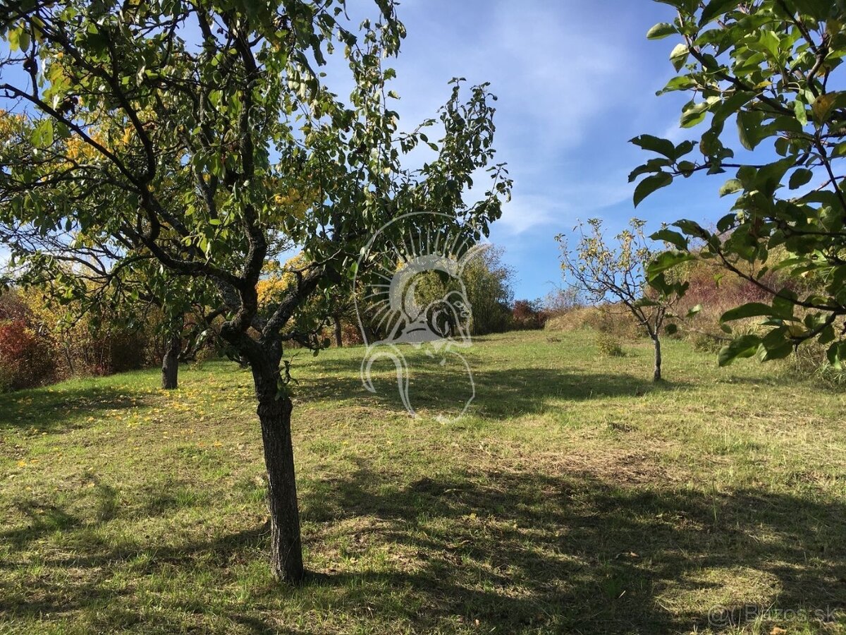 Fotografia 8