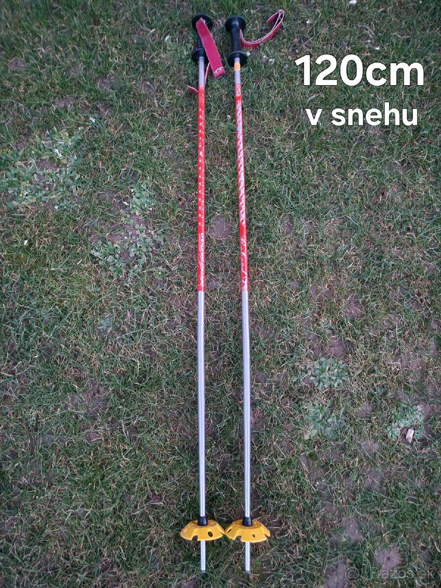 Lyže + Lyžiarske Palice - 8