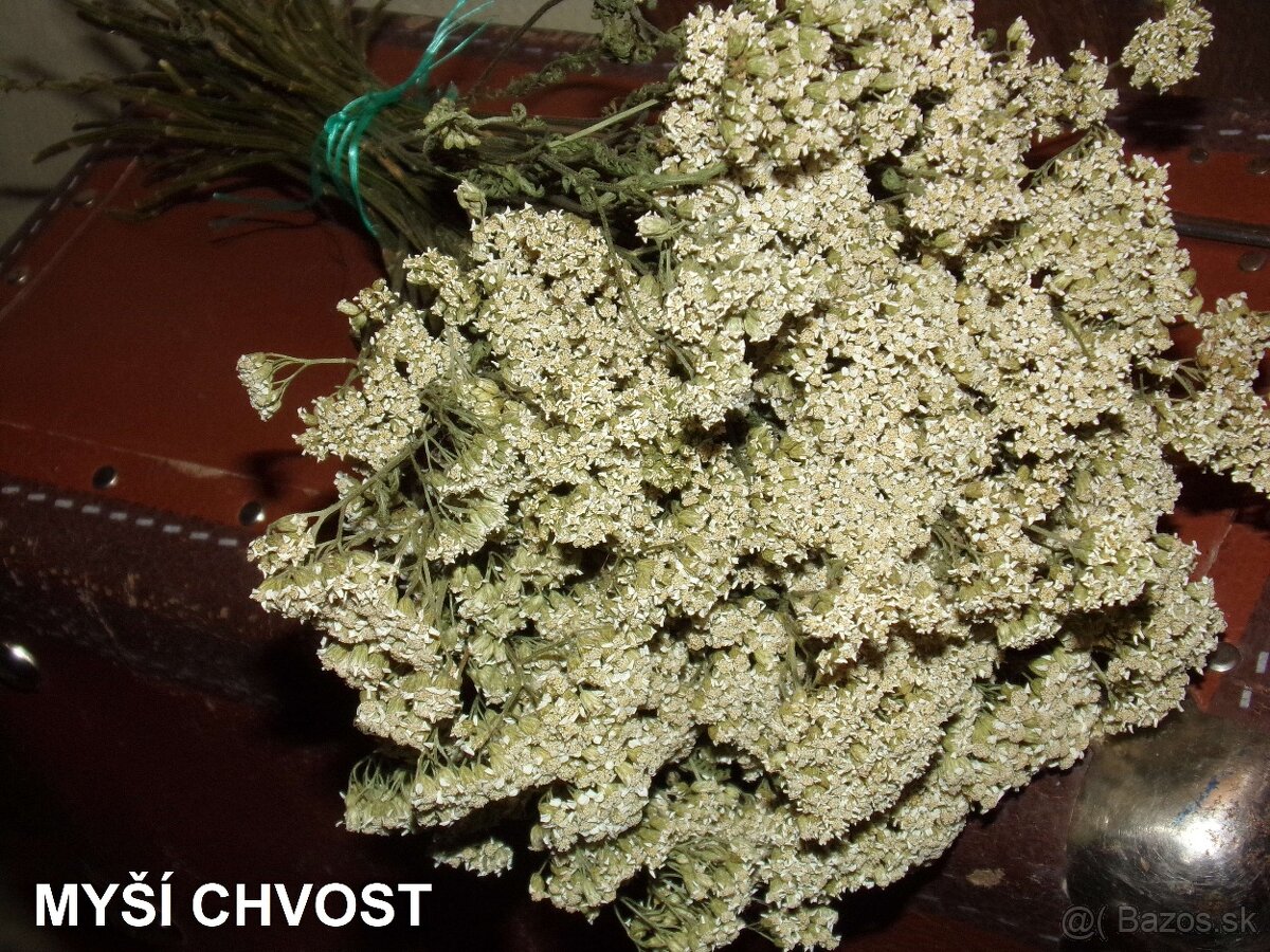 SUŠENÉ KVETY NA ĎALŠIU TVORBU - 8