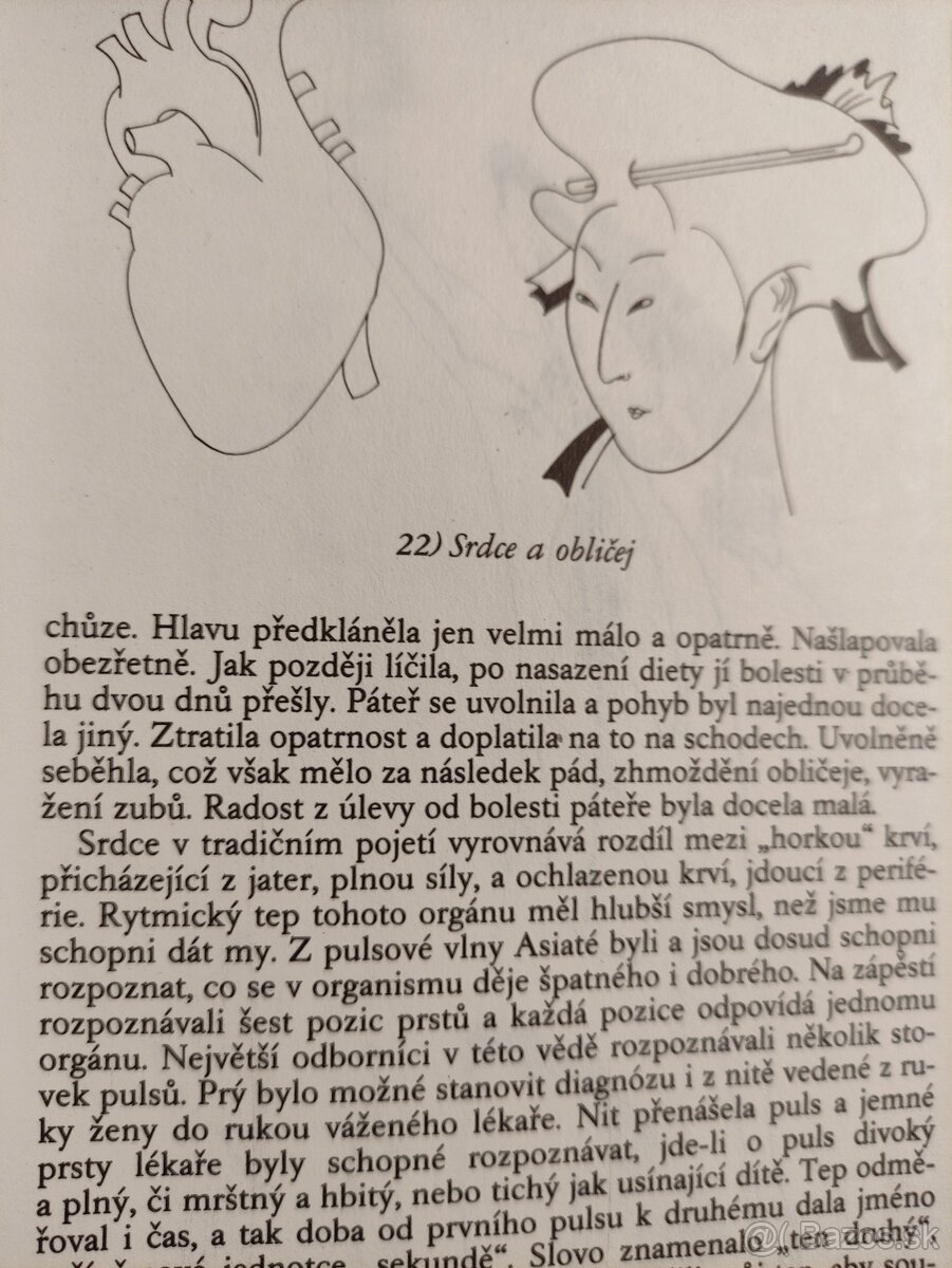 Horlivosť--Krížovka života-Prorok - 8