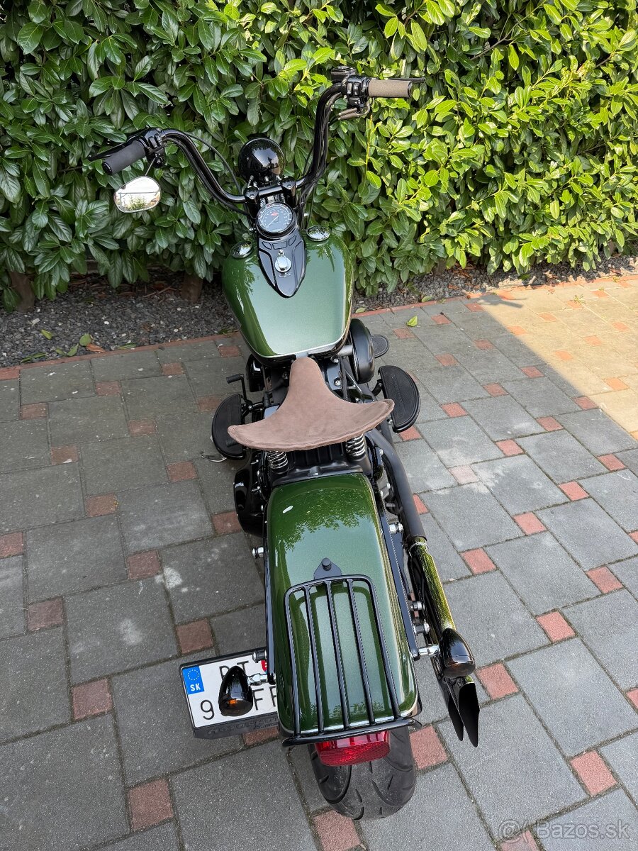 Harley Davidson Softail Cross Bones - 8