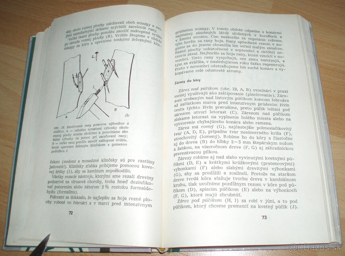 Rez a tvarovanie ovocných drevín - 8