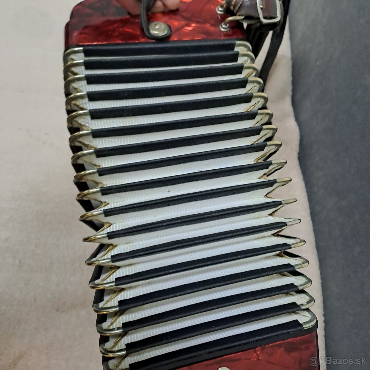 Harmonika Delicia Junior XIII 72 basová - 8