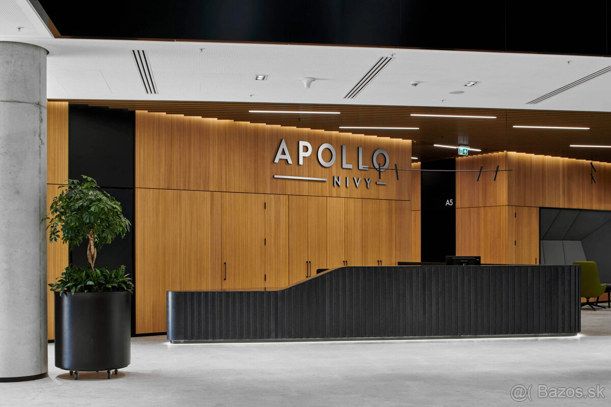 Prenájom obchodného priestoru 333 m² v skvelej lokalite v ce - 8