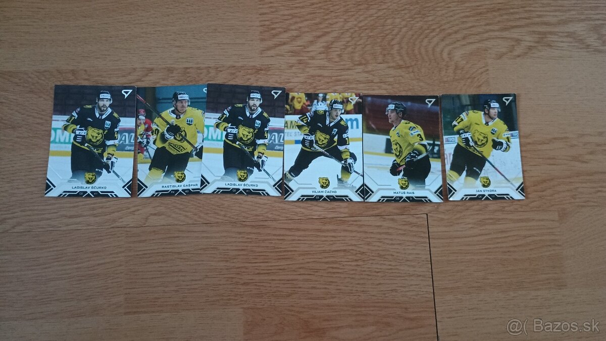 Hokejové kartičky Tipos extraliga 2020/21 - 8