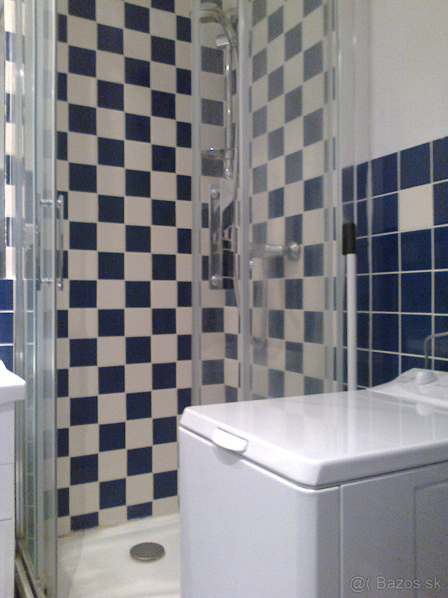 Prenájom 1-izbového bytu - 8