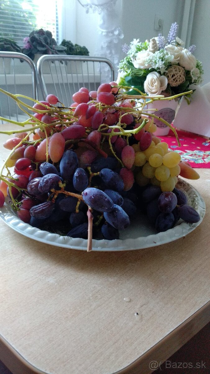 Predám odrezky viniča - 8