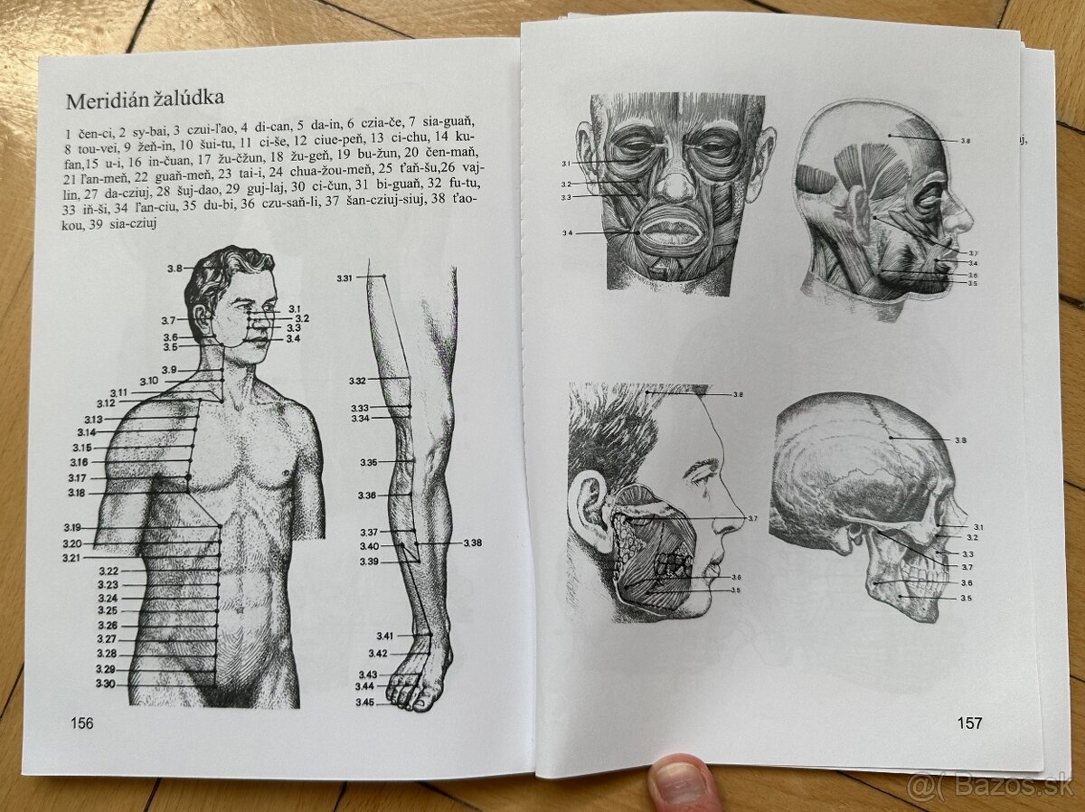 KNIHA Akupunktúra Alexander Alexejčuk za 5EUR - 8