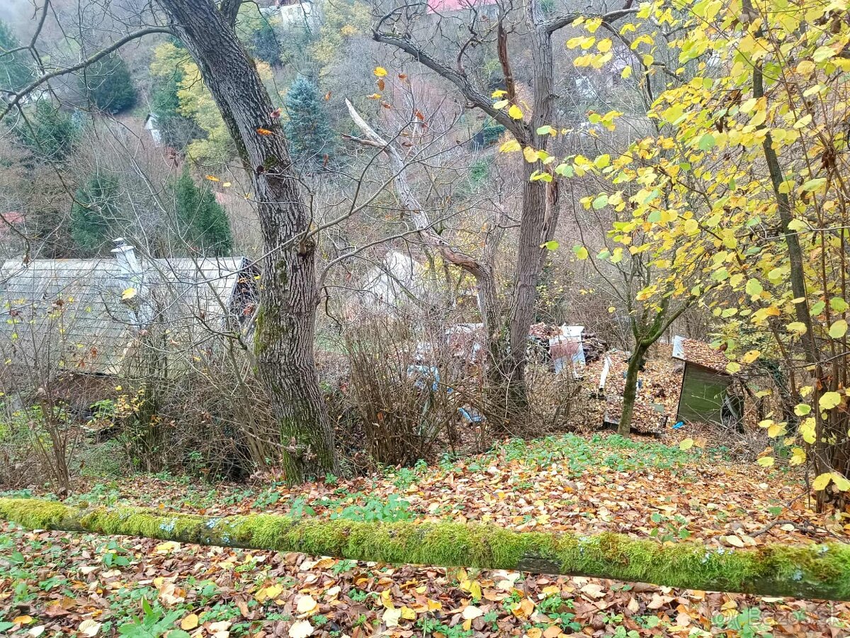 Chata Chalupa Domcek - 8