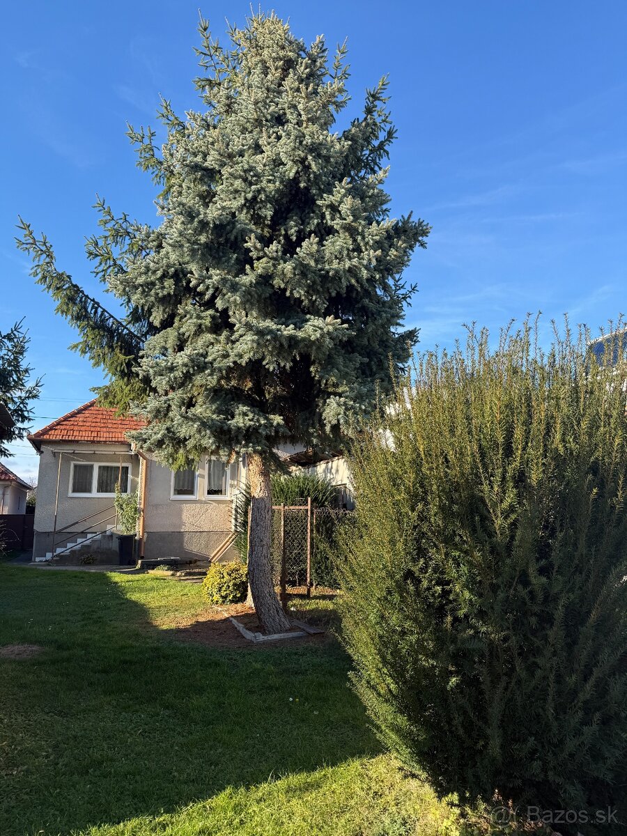 PREDAJ - RODINNÝ DOM - MACHULINCE - 8