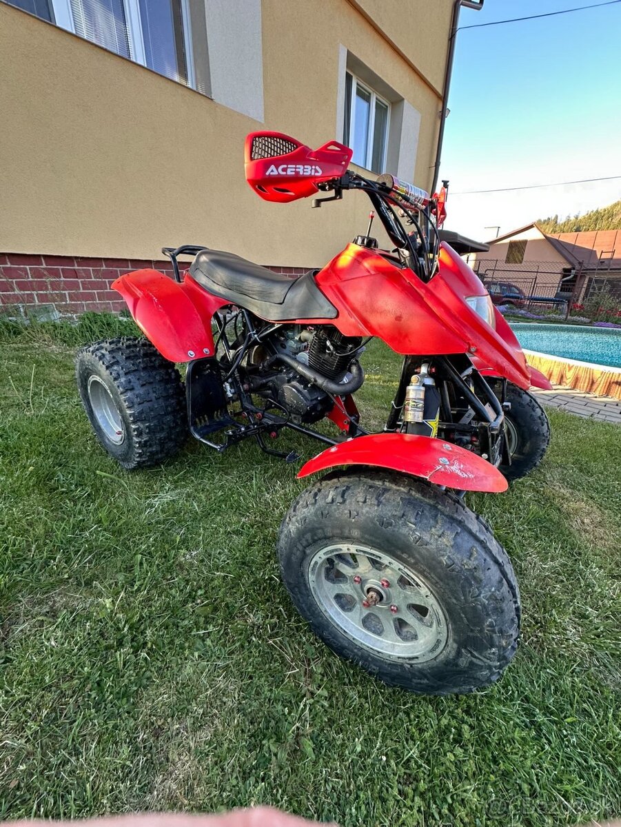 Bashan 250 - 8