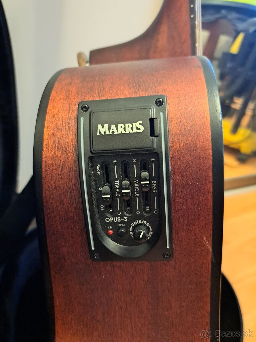 12 strunová gitara Marris - 8