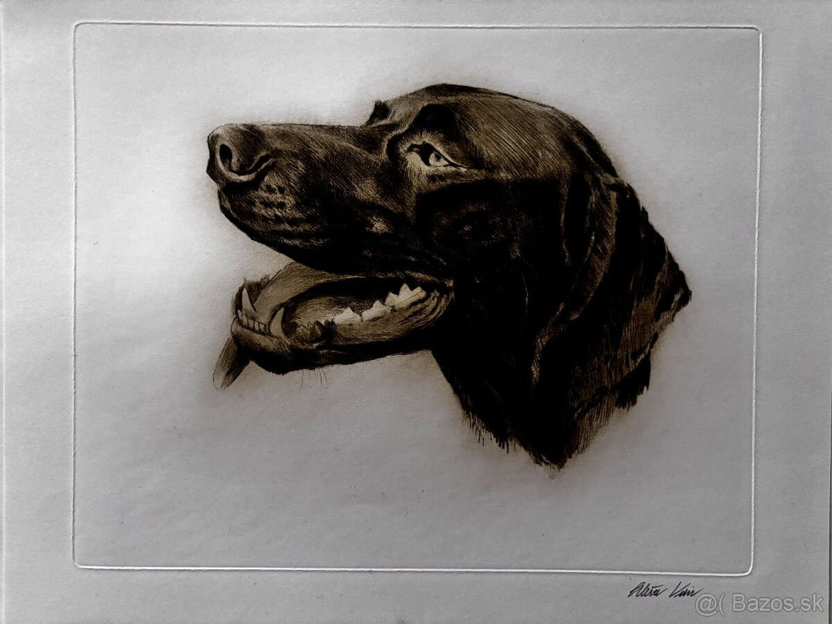 Ales Vaic - lesnicka tematiky - 8