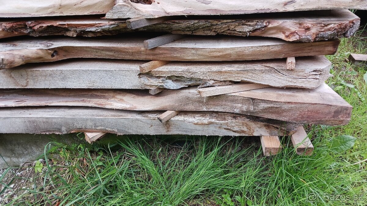 Brestové fosne sušené 6 rokov - 8