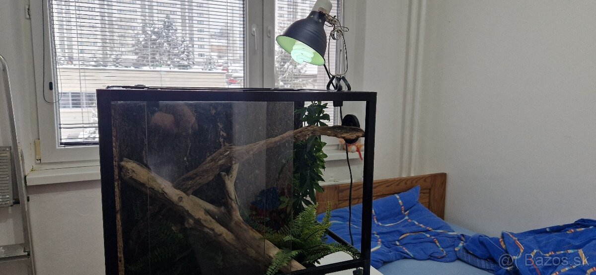 Predám terárium - 8