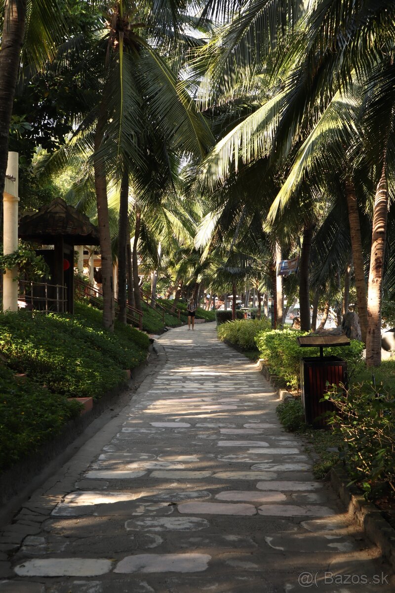 Canon EOS M50 + setový objektív 15-45mm - 8