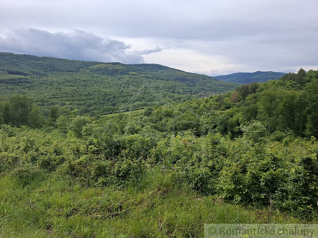 NOVÁ CENA Rozsiahle lesné pozemky v Podpoľaní - 8