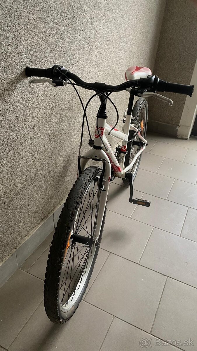 Bicykel Galaxy Ruby - 8