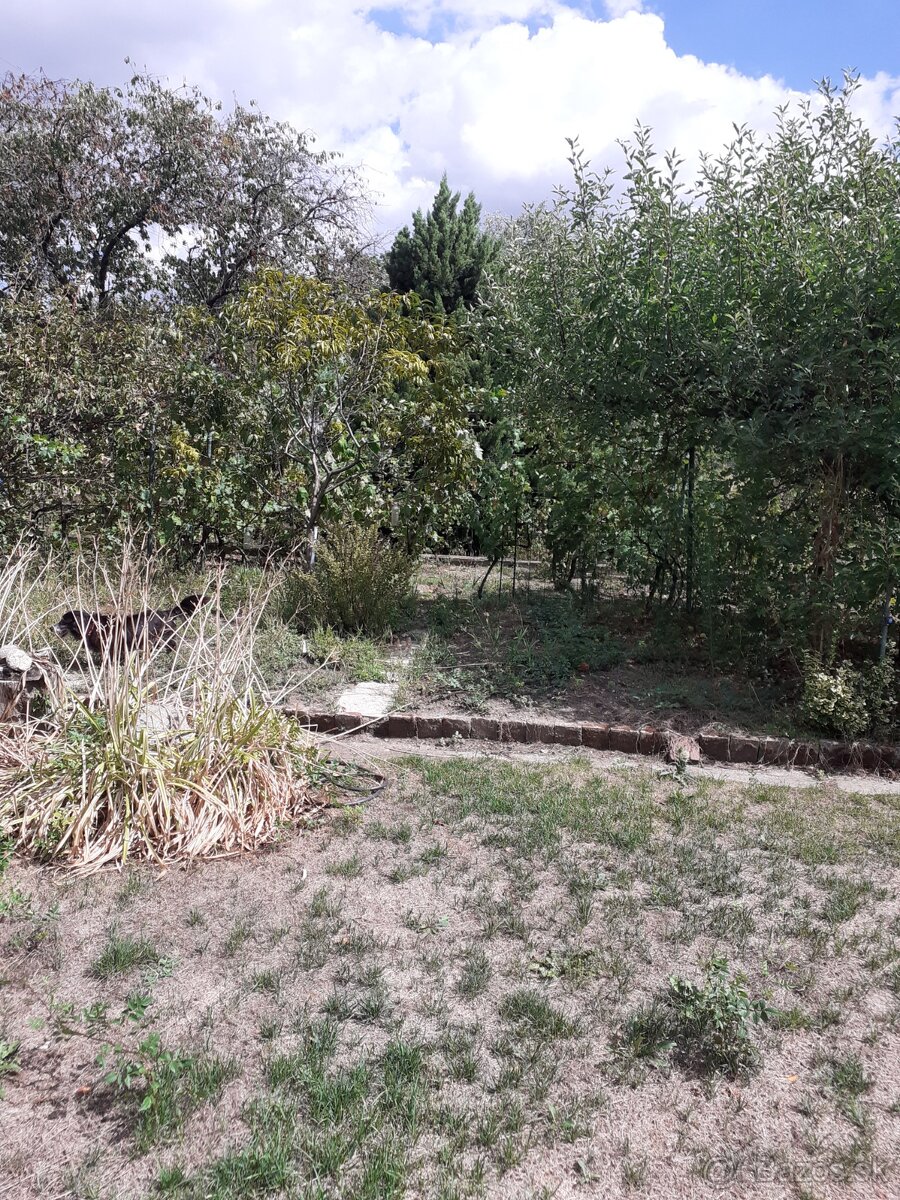 Záhradná murovaná chata - 8