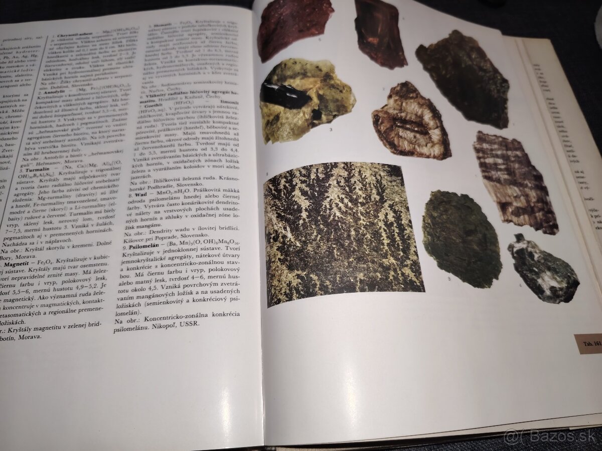 Z našej prírody - 8