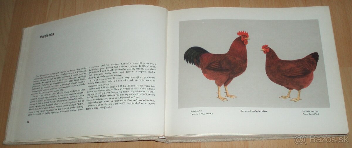Atlas plemien hydiny - 8