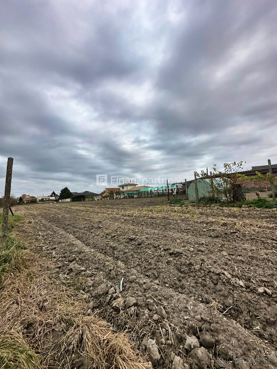 Stavebný pozemok 4702 m² v obci Trstice, Galanta - 8