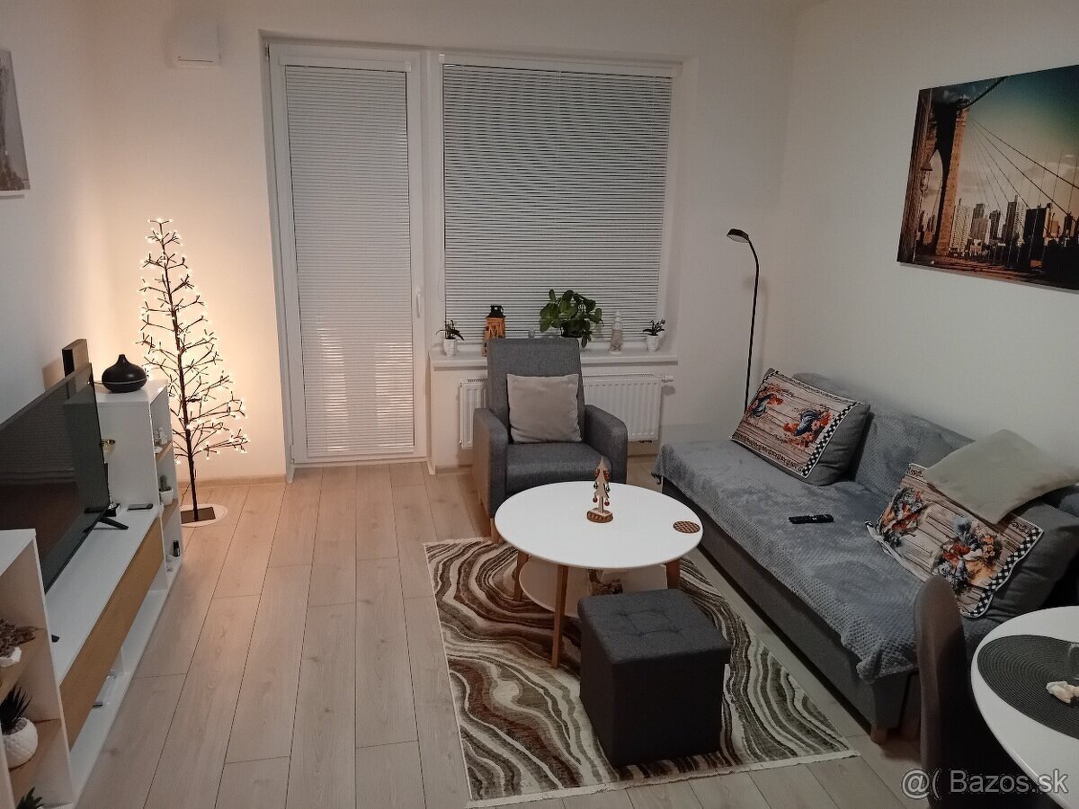 Prenájom 2-izbového bytu v novostavbe - Štvrť Kasárne, BR - 8