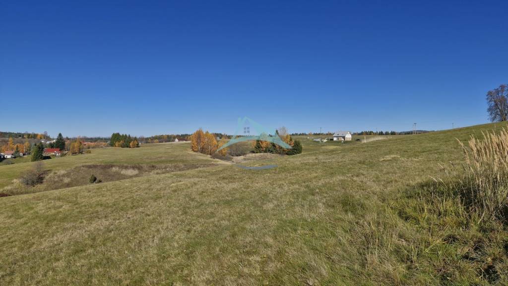 Pozemok (7750m2) s výhľadom na Nízke Tatry v obci Detvianska - 8