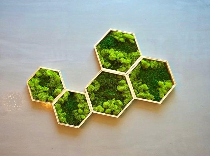 Dekorácie zo stabilizovaného machu - 8