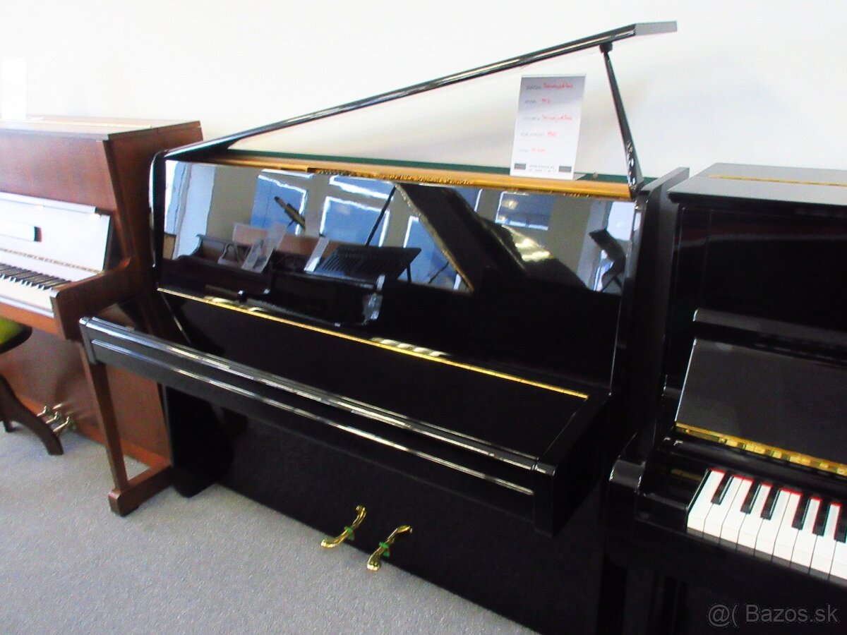luxusný Steinway and Sons pre solventných - 8