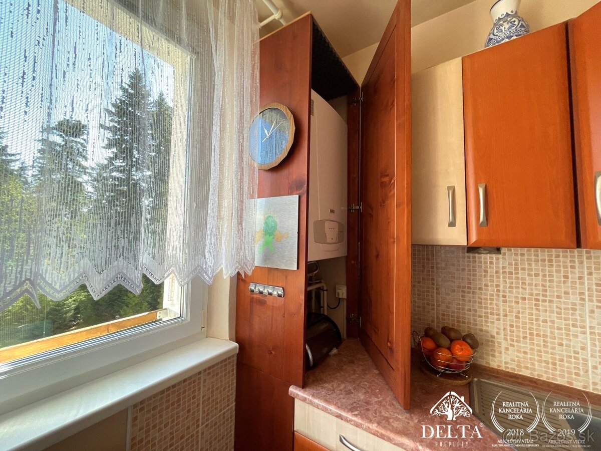 DELTA - NA PREDAJ 3-IZBOVÝ BYT s GARÁŽOU - vlastné kúrenie, - 8