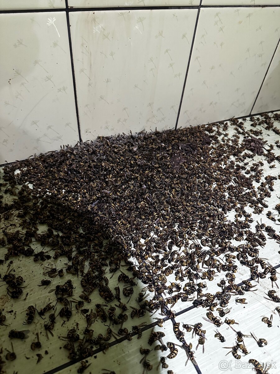 DERATIZÁCIA, DEZINFEKCIA, DEZINSEKCIA - 8