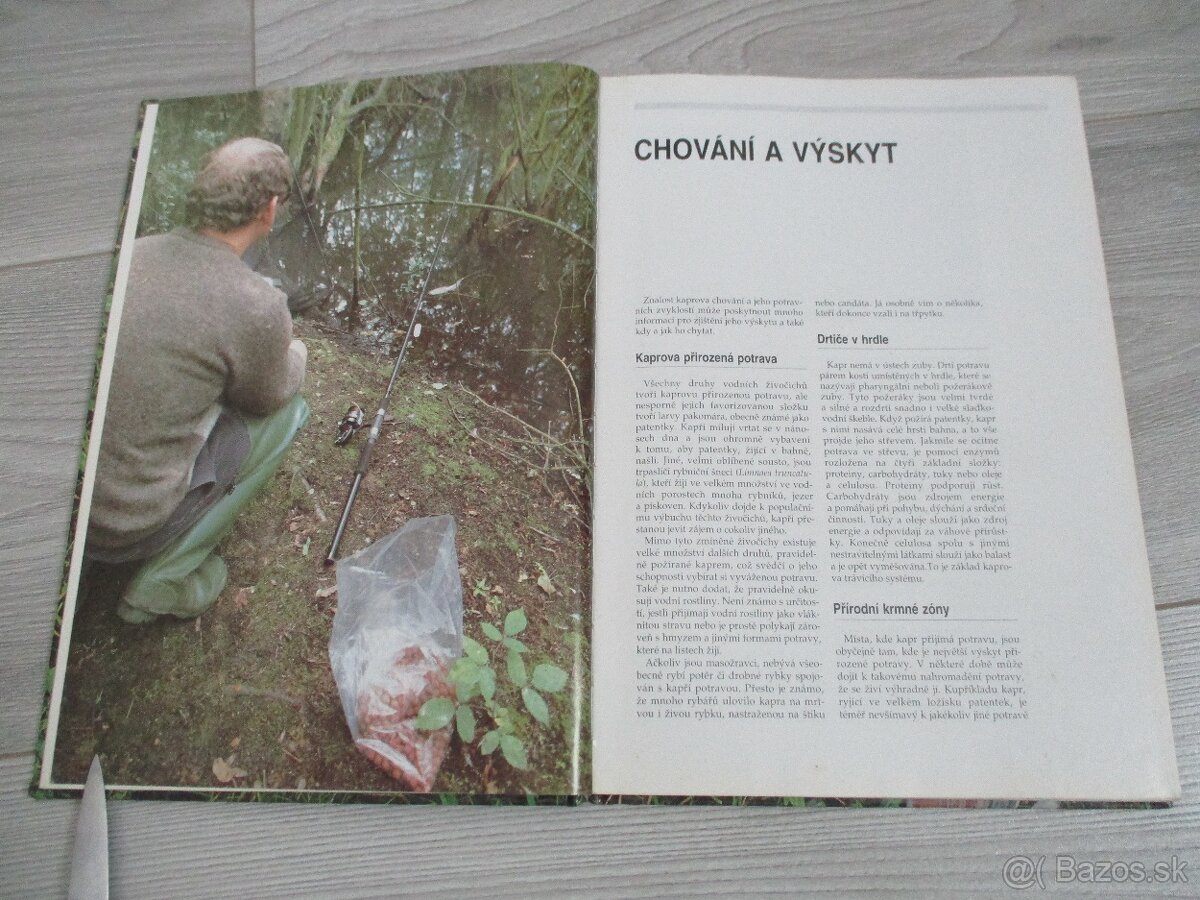 Chytání velkých kapru - 8