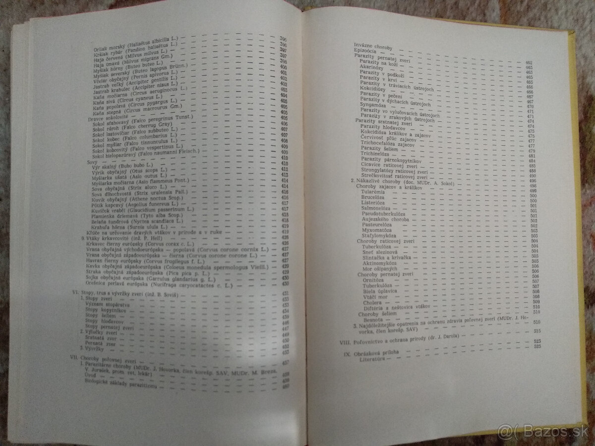 Poľovníctvo I. - 8