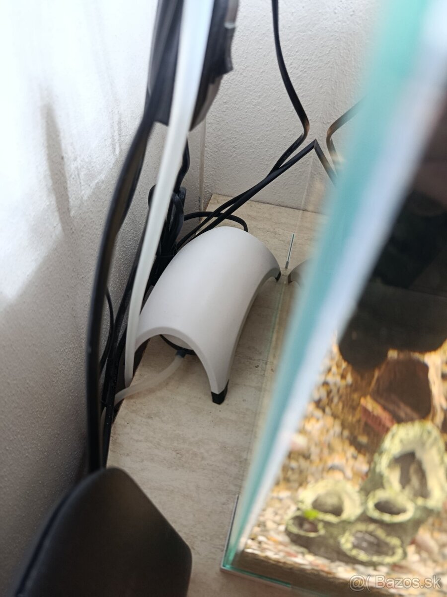 Aqvarium - 8
