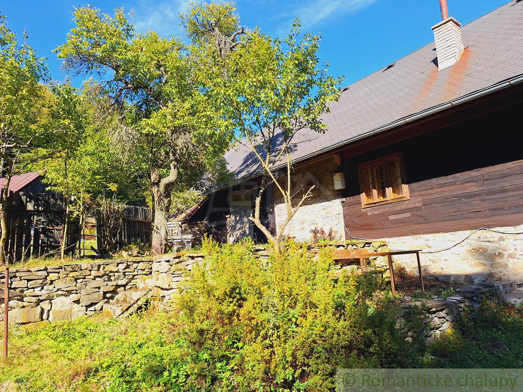 Tradičná zrekonštruovaná drevenica na okraji obce Nesluša. - 8