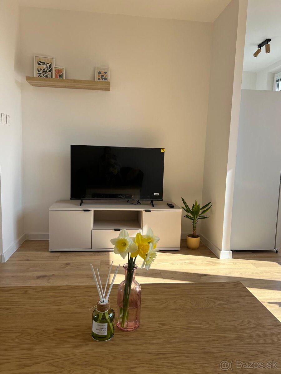 1-izbový byt na prenájom Košice Terasa - 8