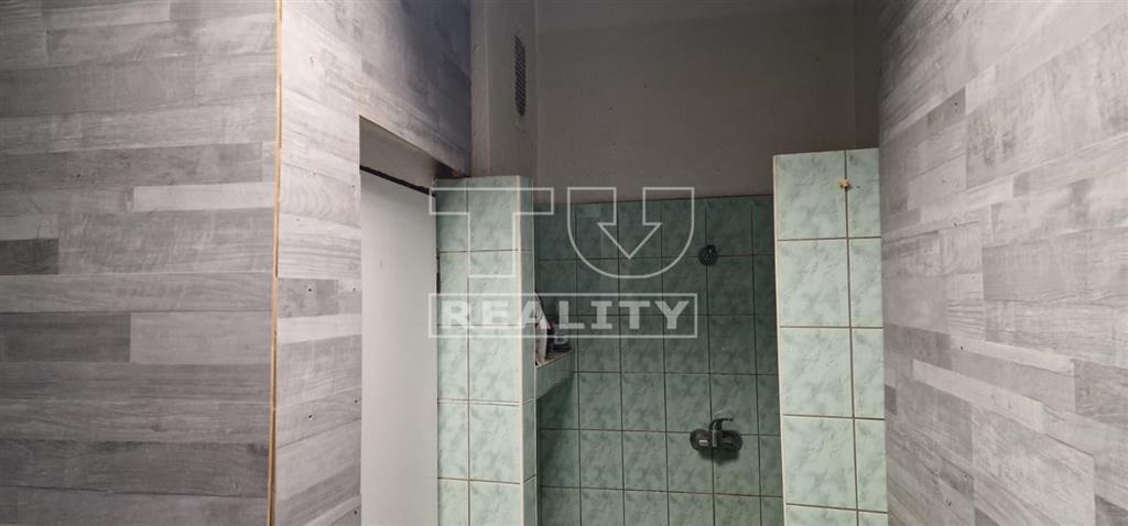 Obchodné priestory za cenu bytu - 8