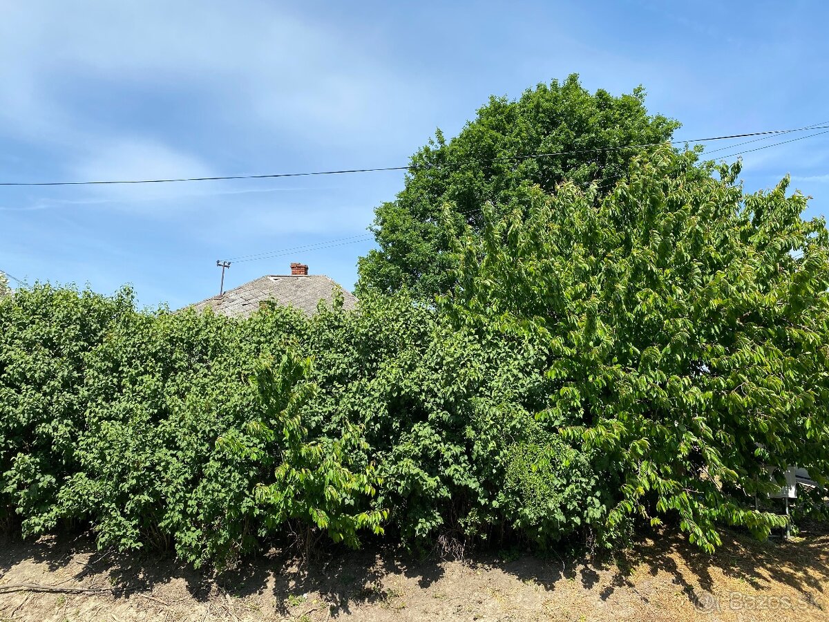 Rodinný dom v Chotíne - 8